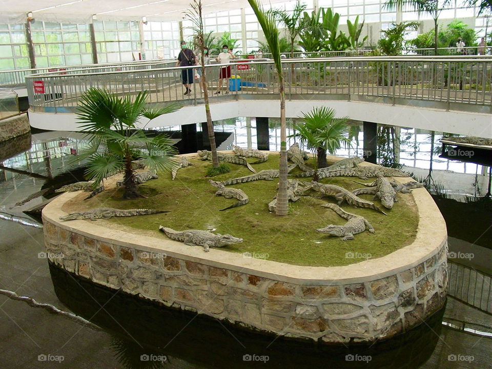 Reptile zoo