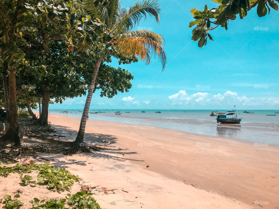 Praia de cumuruxatiba Bahia Brasil 🇧🇷