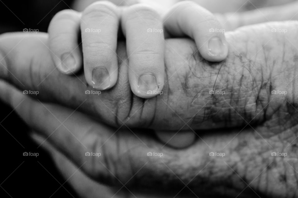 Close-up of baby's hand holding grandparent's finger