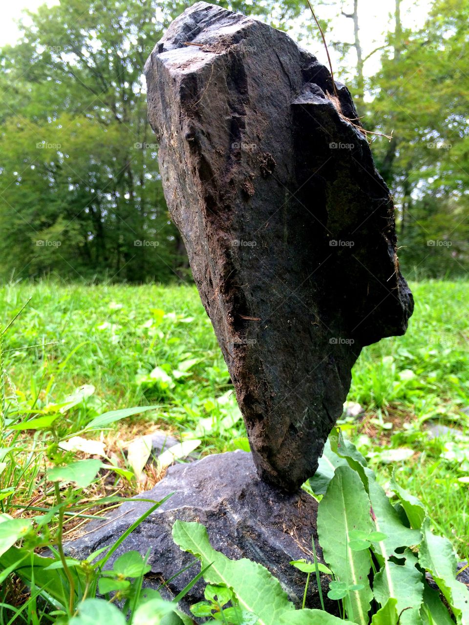 Balance. How is this stone even balanced? Found in a park.