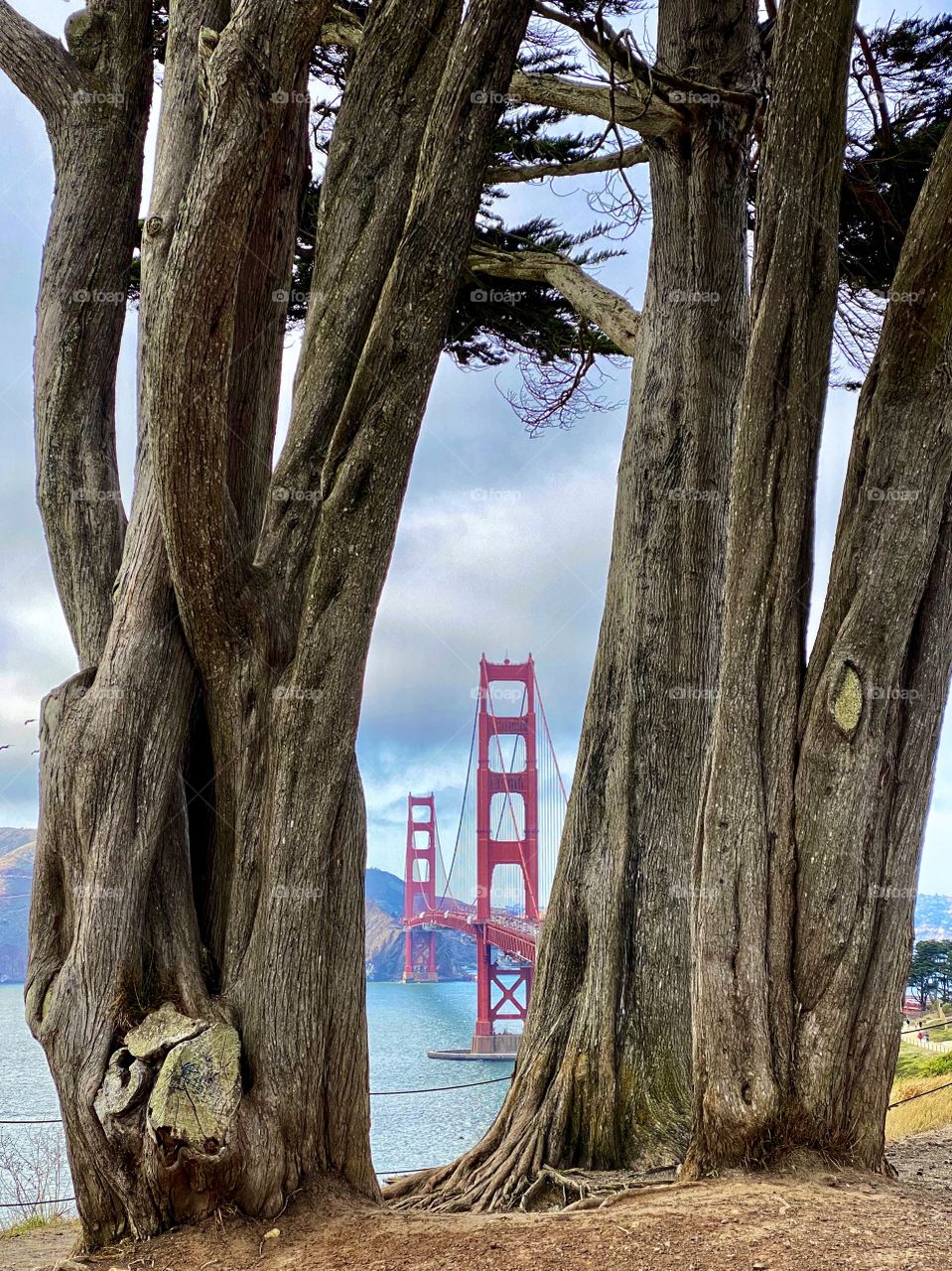 Golden Gate Bridge 