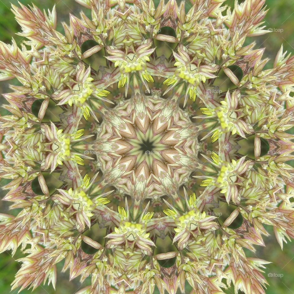 Wild grass mandala2