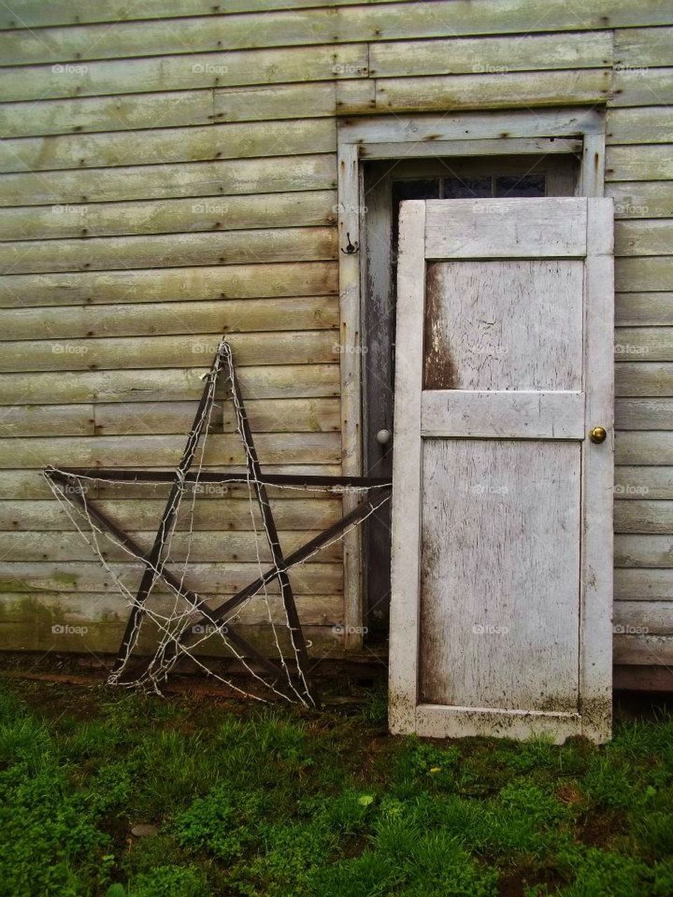 The Door and the Star