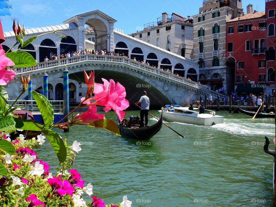 Rialto Bridge