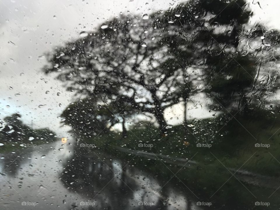 Rainy day in Hawaiinei 