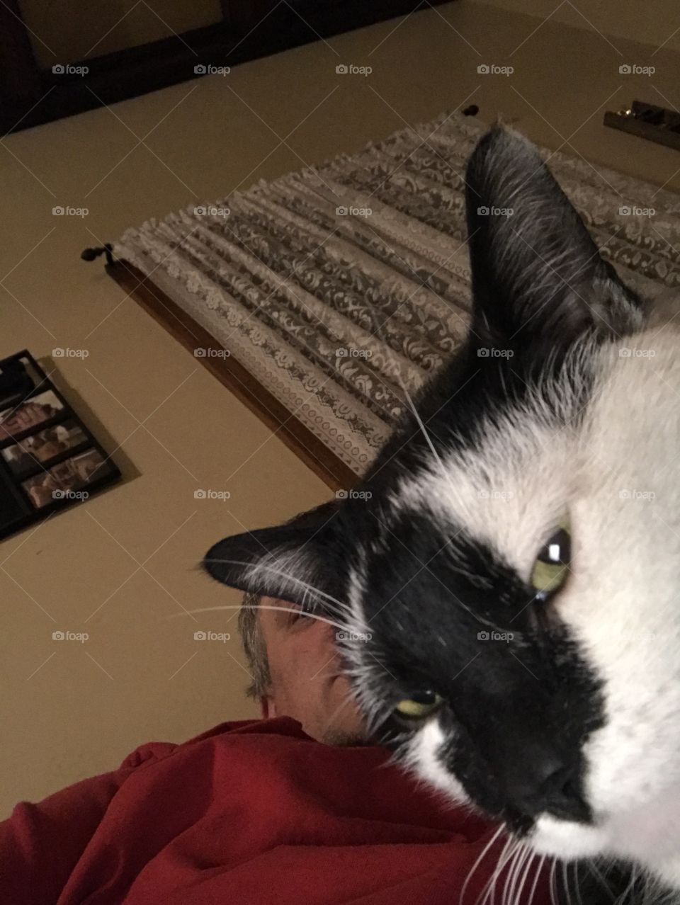 What do you think you’re looking at 