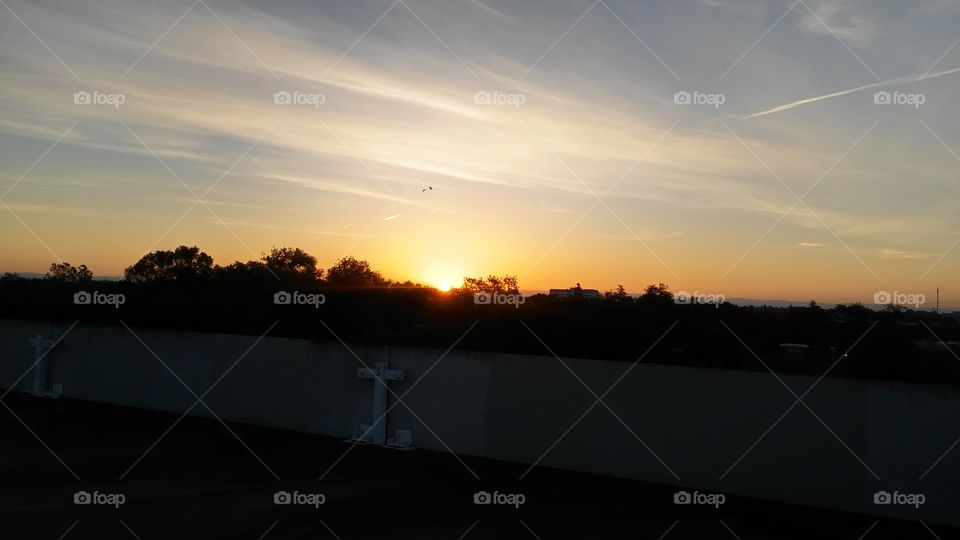 I climbed 8 flights of stairs to get to the top of this parking to watch this beautiful sunrise!