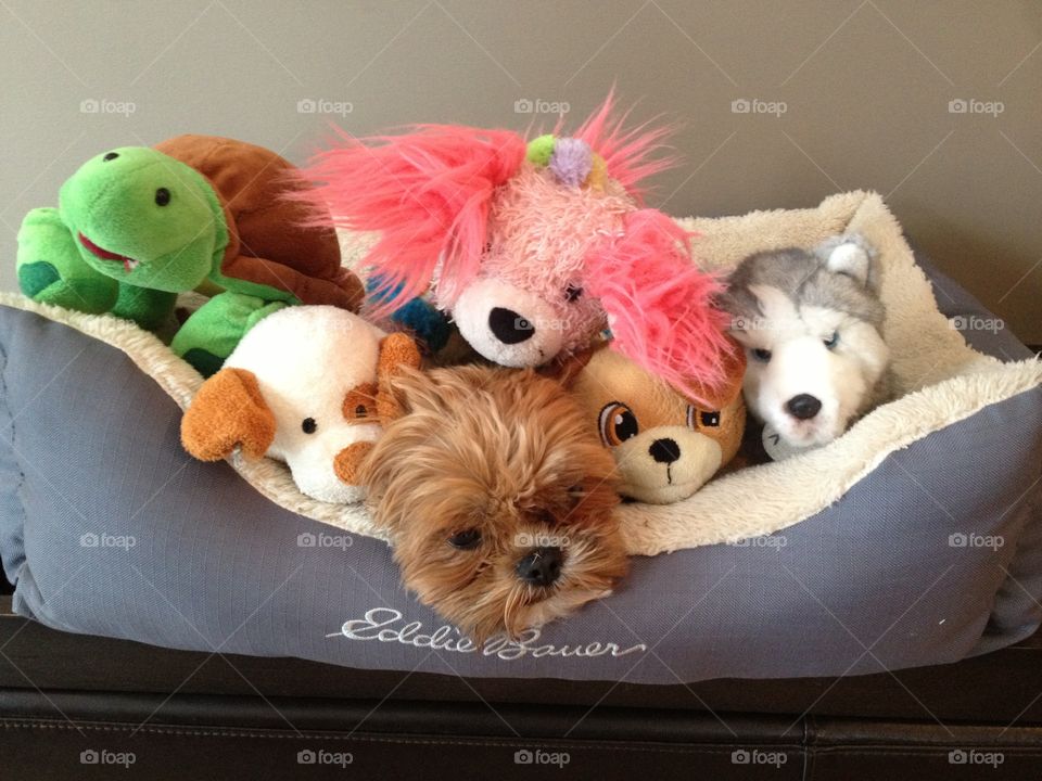 Basket of stuffies 