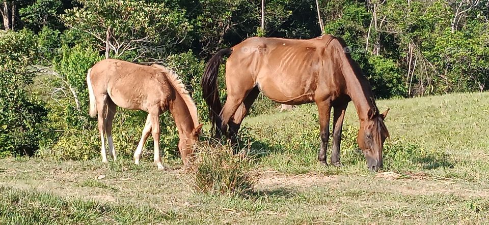 lecciones de la naturaleza que nos enseñan a mejorar las relaciones con nuestros hijos.