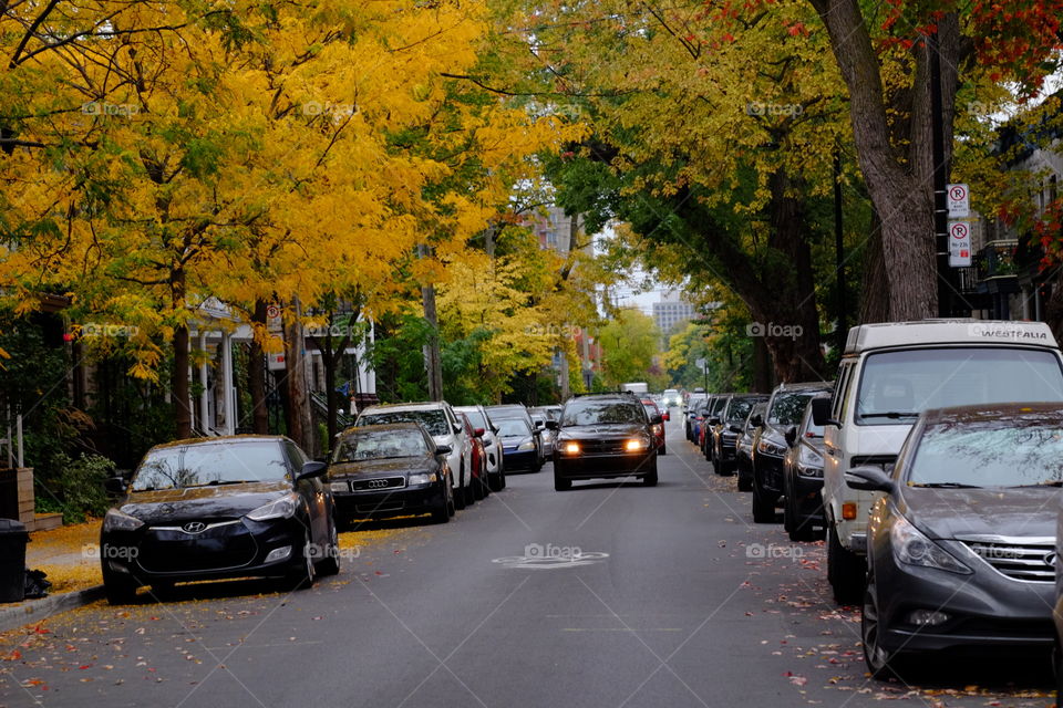 Autumn in the city 🌆