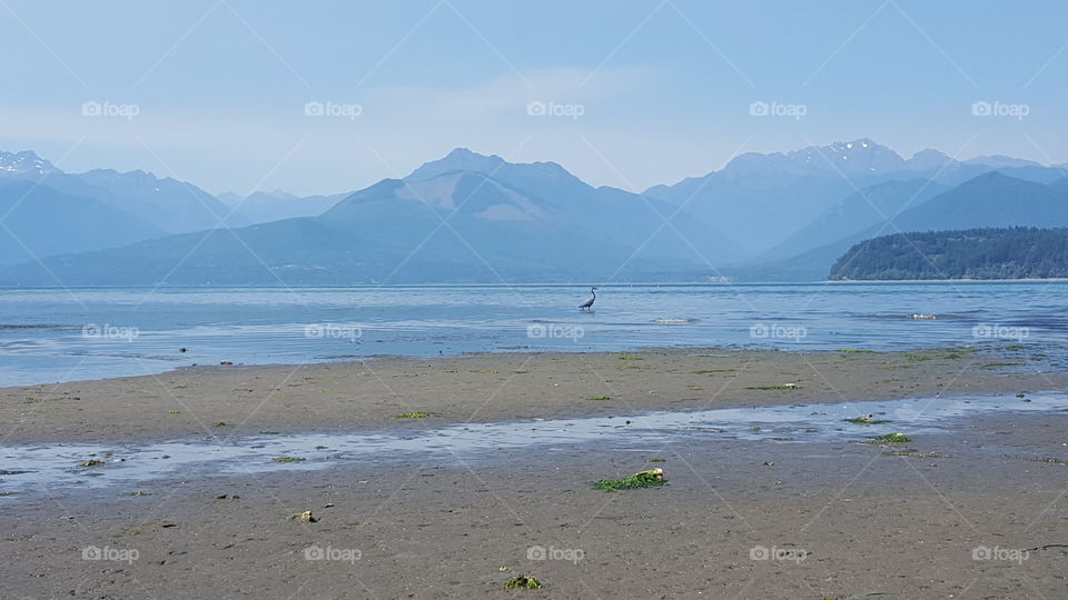 low tide against mountains