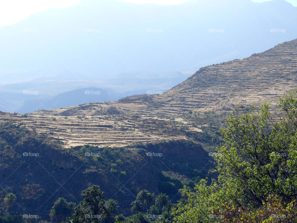 Landscape on Gran Canaria, Las Palmas, Spain.