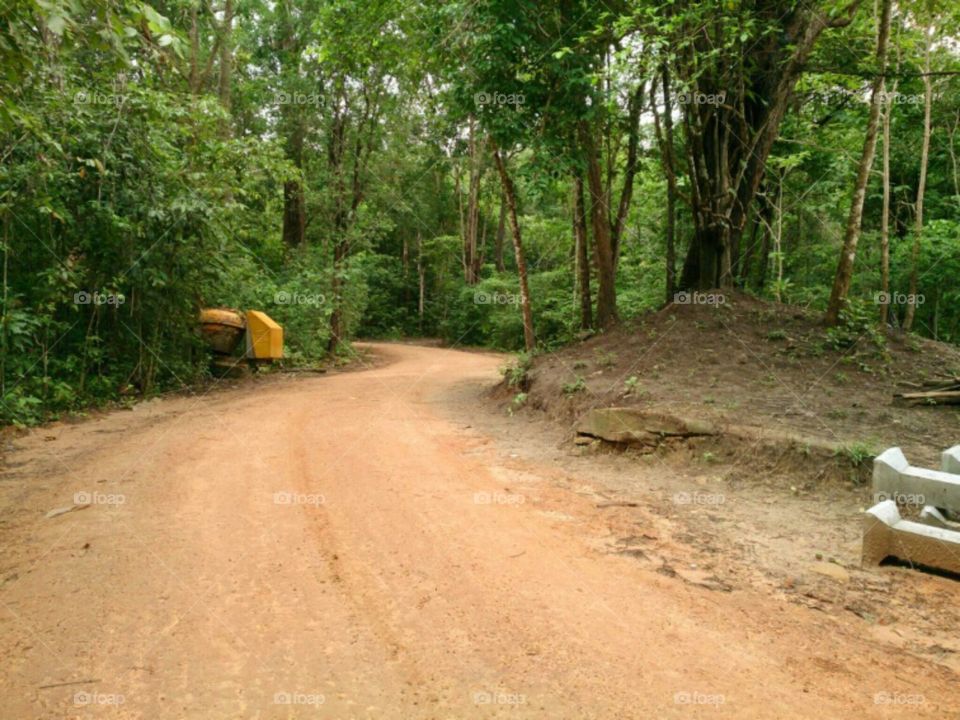 dirt road. dirt road in country thailand
