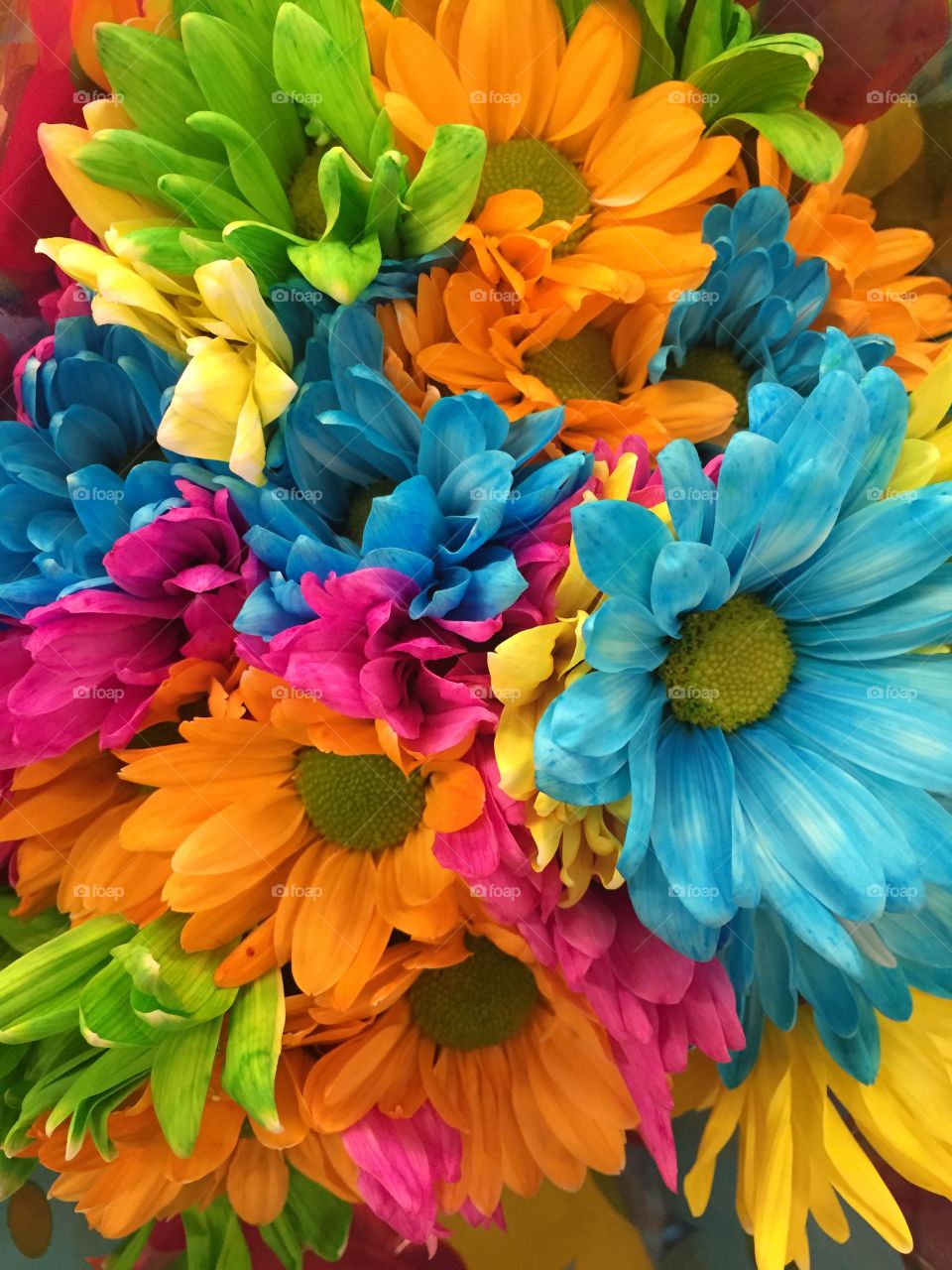 Bright multicolored flowers