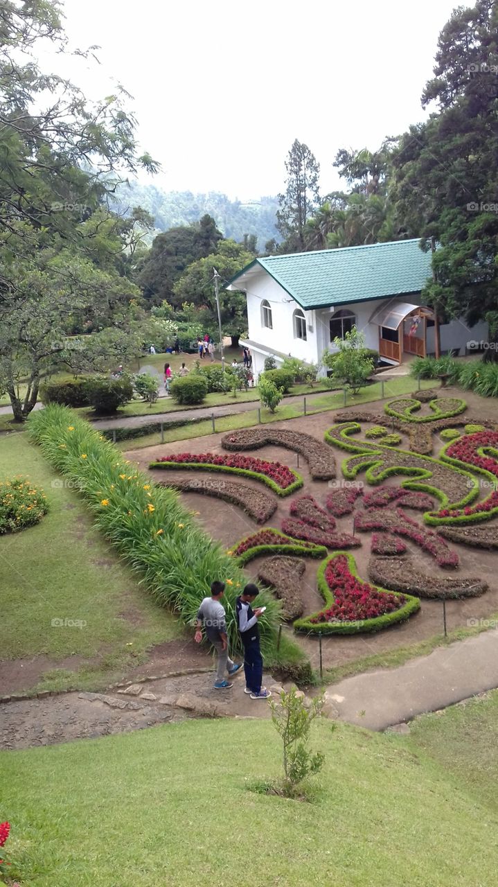botanycal garden