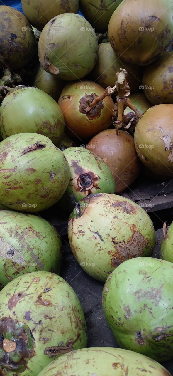 Piles of green coconuts on display.