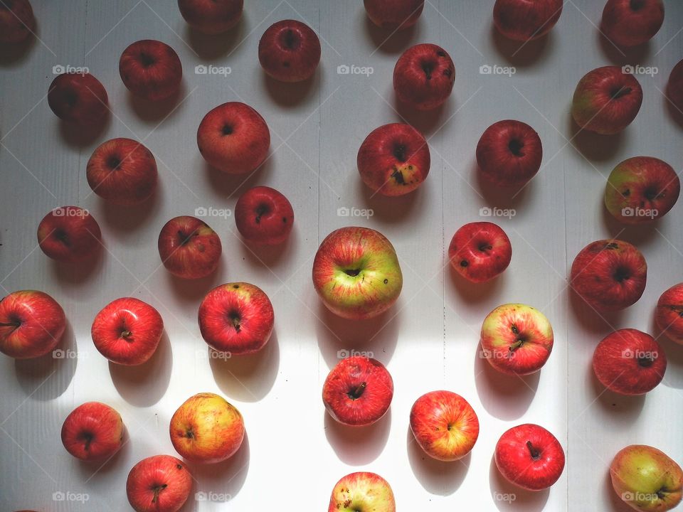 red apples on white background