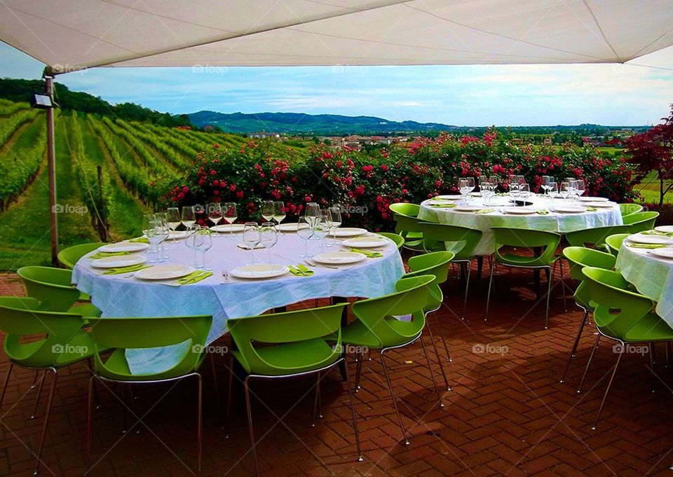 Tables set for dinner in a vineyard