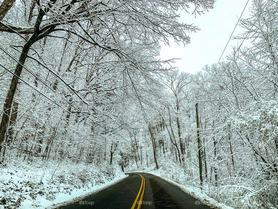 Snowy Road