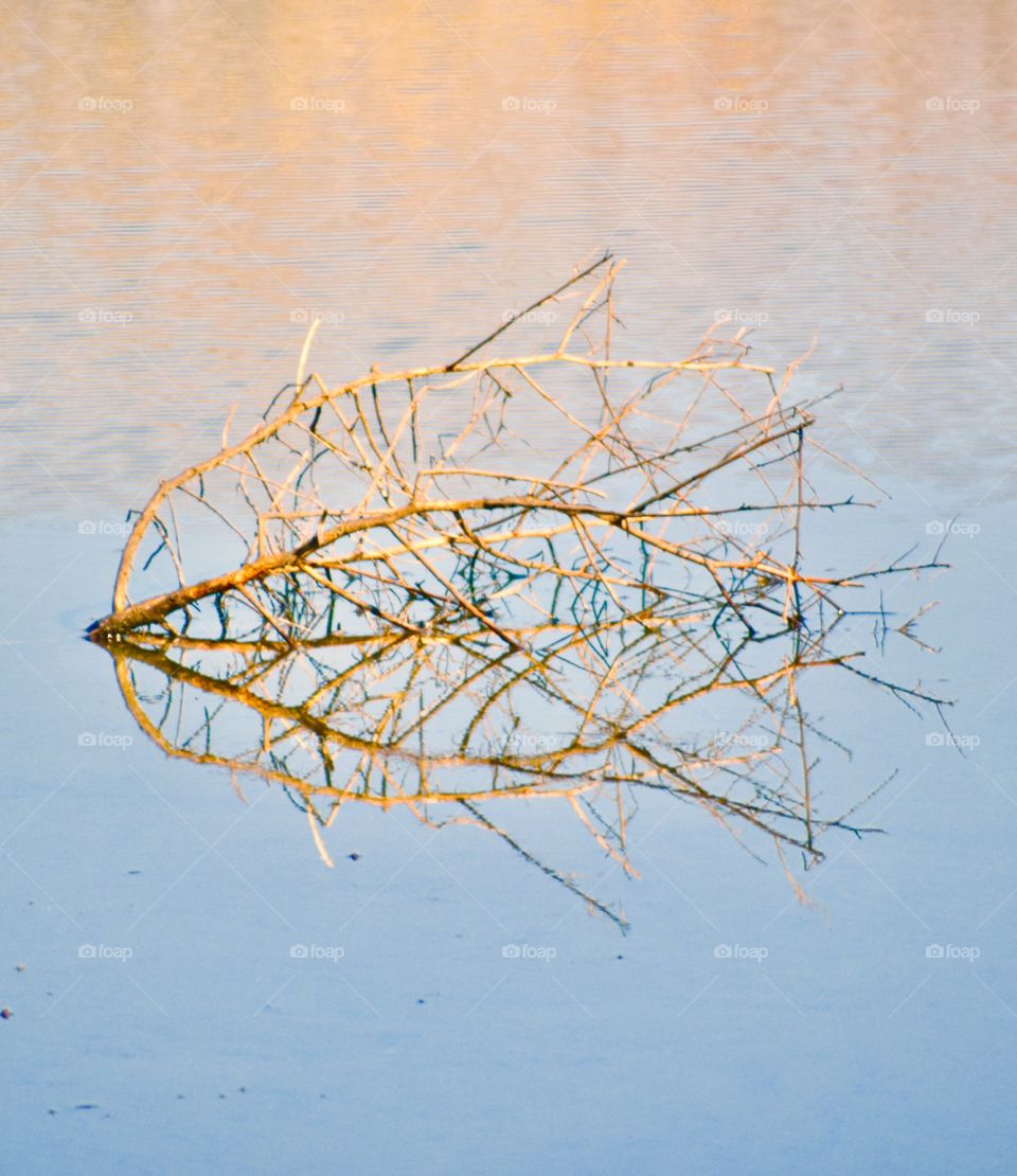 Broken branch reflection 
