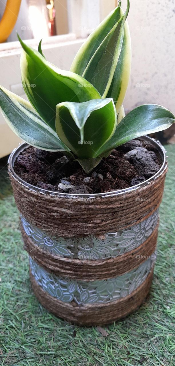 mes pots customisés