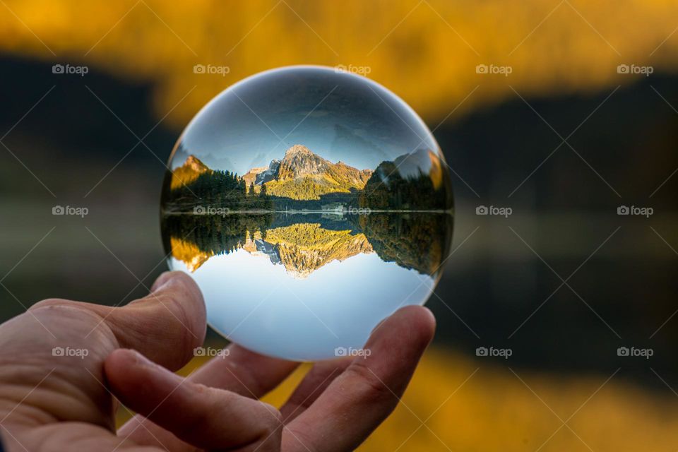 Reflection in a Mirror Bulp