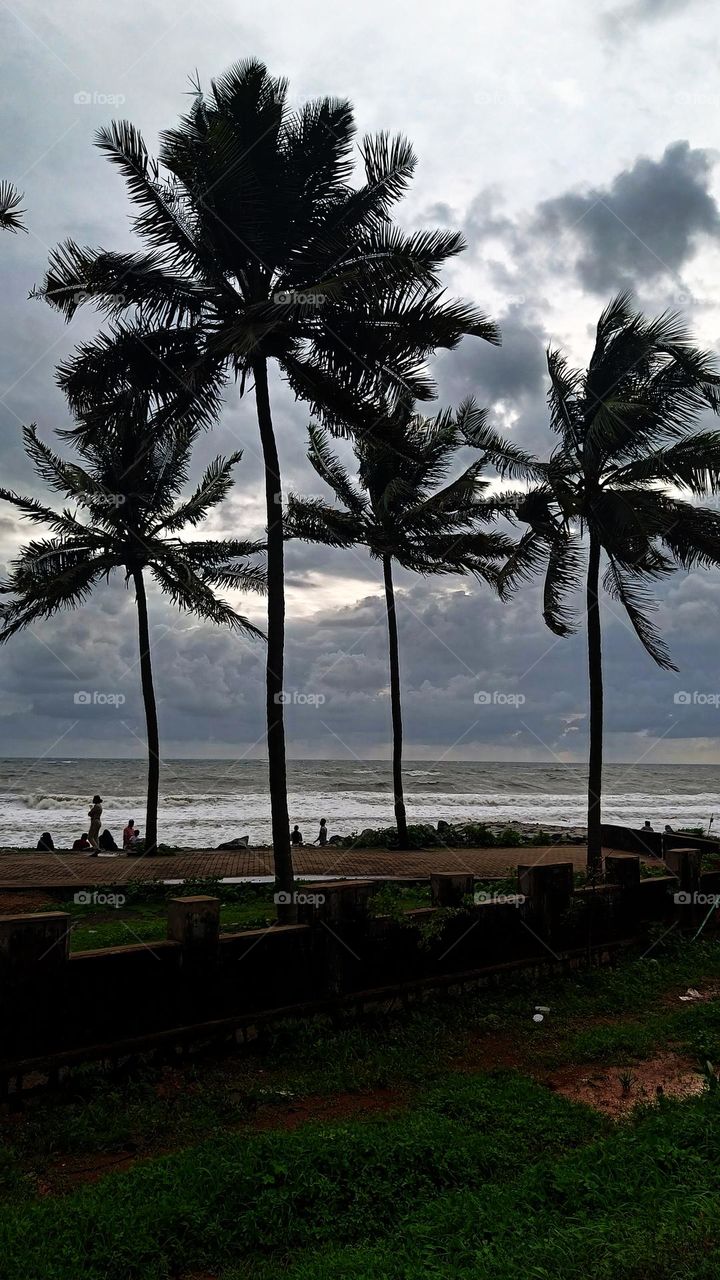 A peaceful evening with a beautiful view!