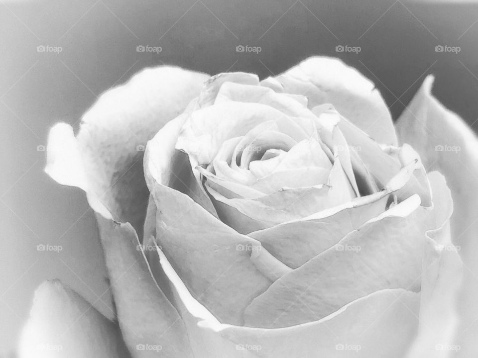 Monochromatic silence