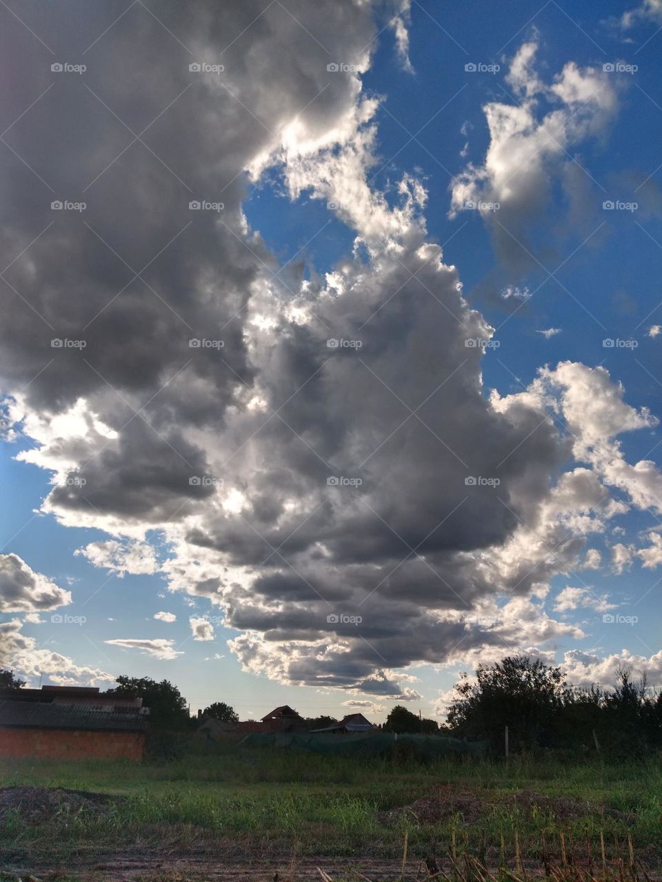 Upload your Photo of the Week