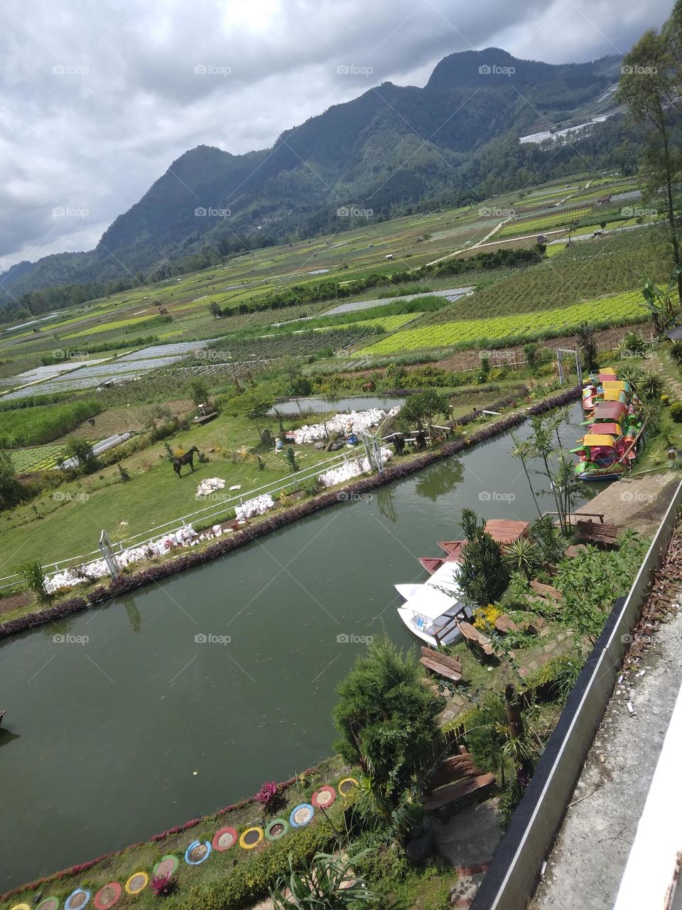 beautiful mountain and fields in East java Indonesia
