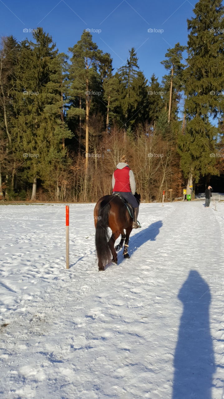 Horseback Riding in Winter