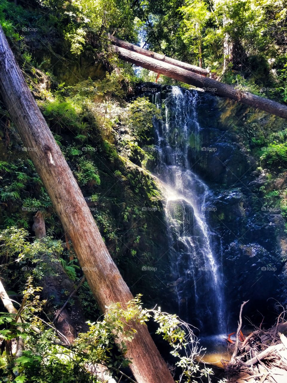 Berry Creek Falls