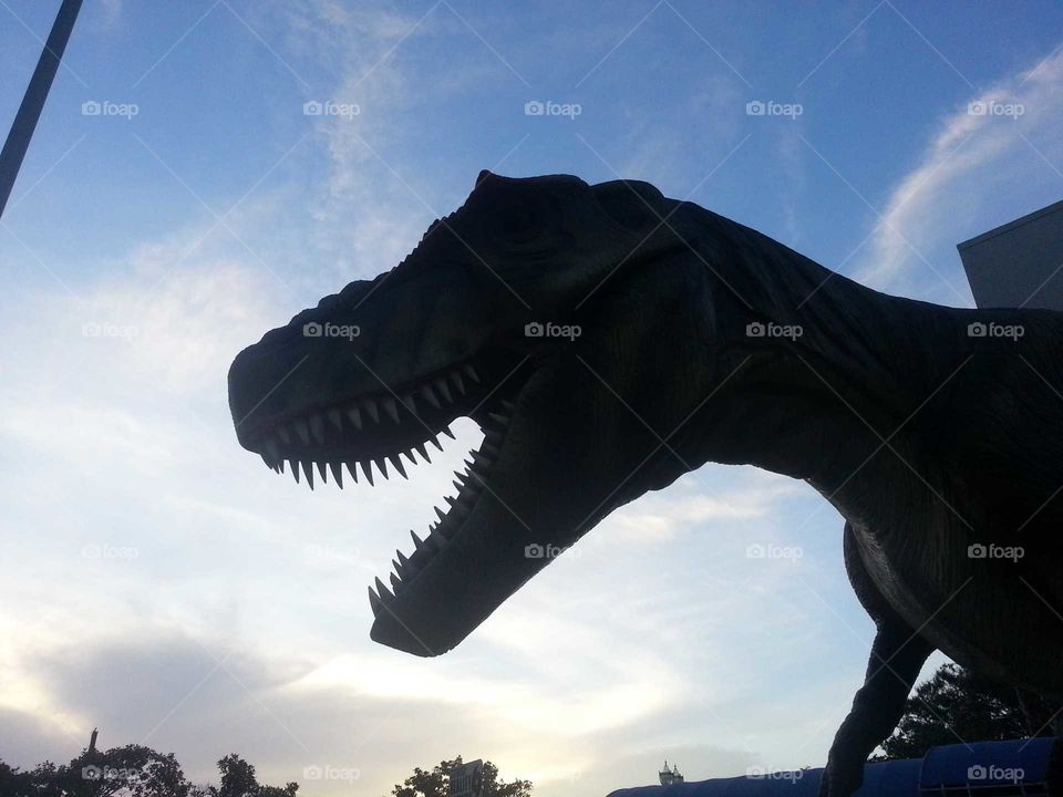T-rex at the MOSH. Jacksonville, FL