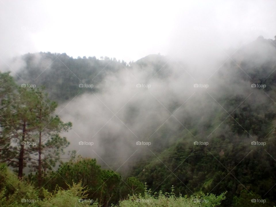 fog on hills
