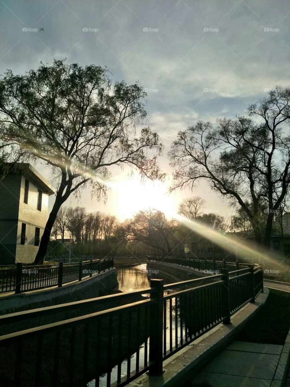 reflection of nature