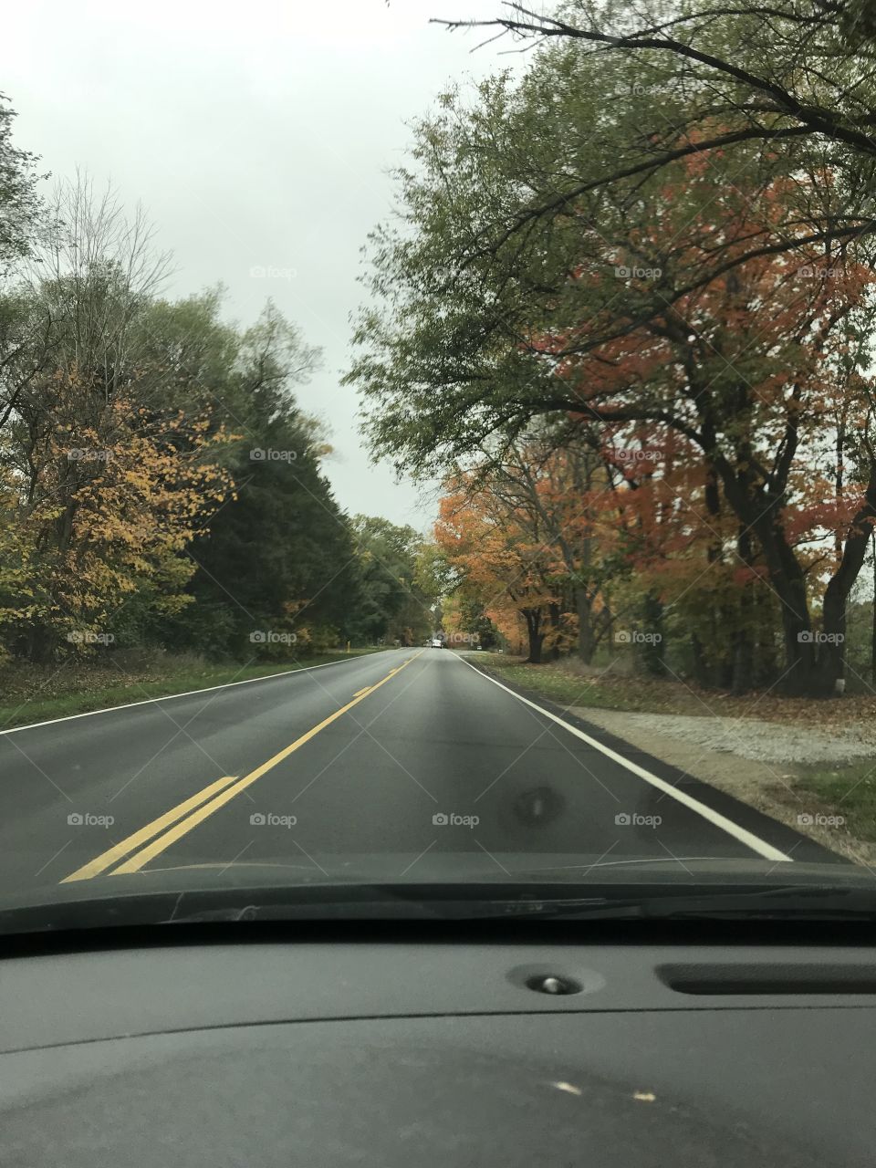 Beautiful autumn leafs last September on my drive through Michigan. Nature surely is wonderful. 
