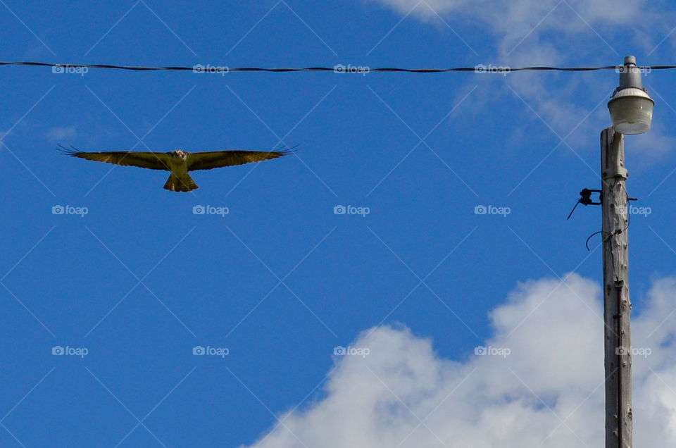 Bird's-eye View (Series)