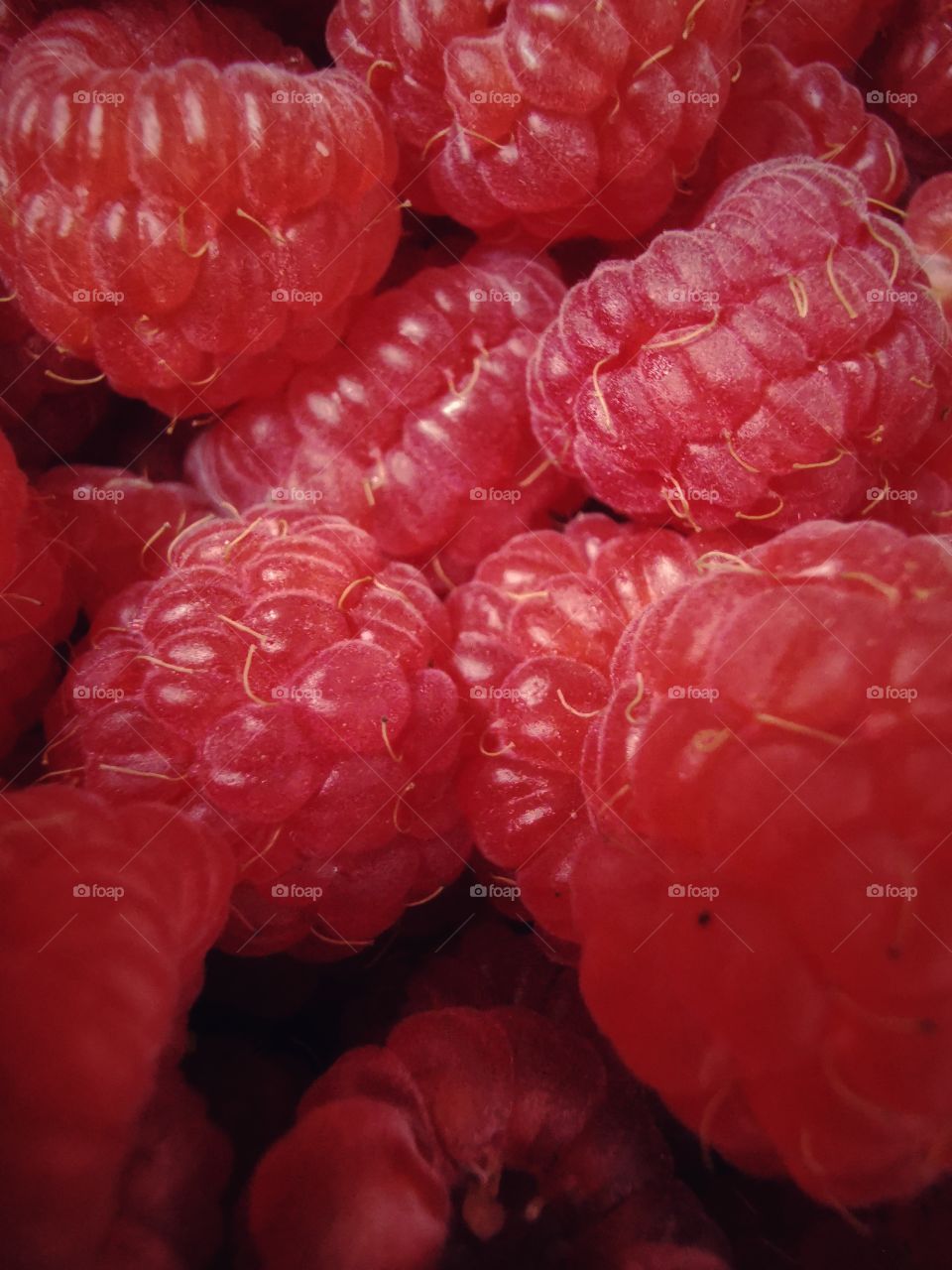 Fromboise berry hand happy view bio fresh yummy healthy Red raspberry nature eco vegan juicy fruits