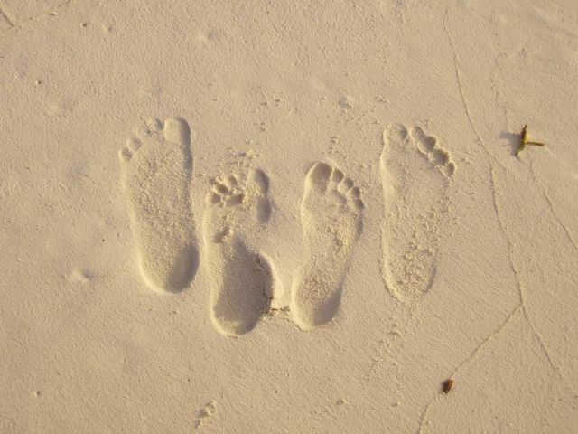 Footprint