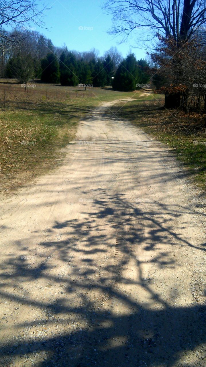 Landscape, No Person, Tree, Road, Nature