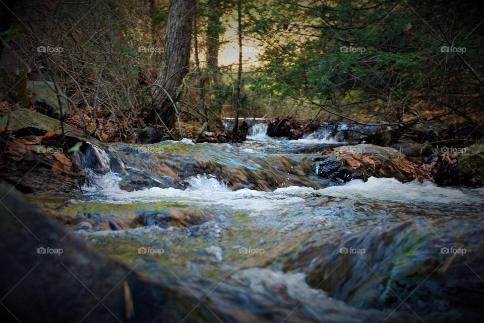 Flowing Mountain stream