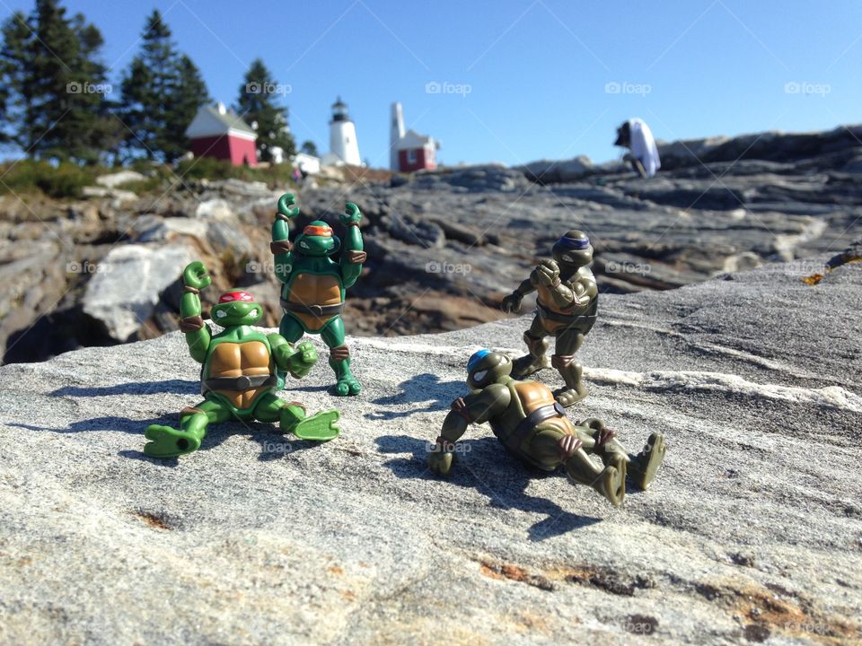 Turtles on lighthouse rock