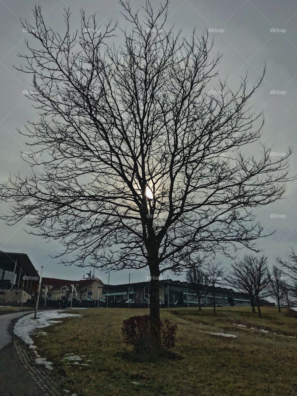 I see light in everything !