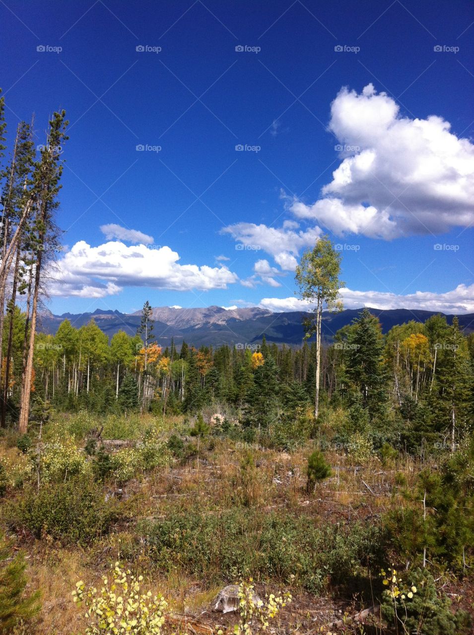 Berthoud Pass in the Fall. Taken on Berthoud Pass in Colorado 