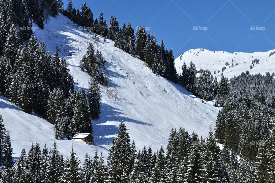 Austria alps