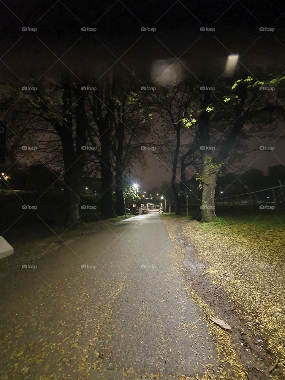 OsloByNight' tøyen in Norway