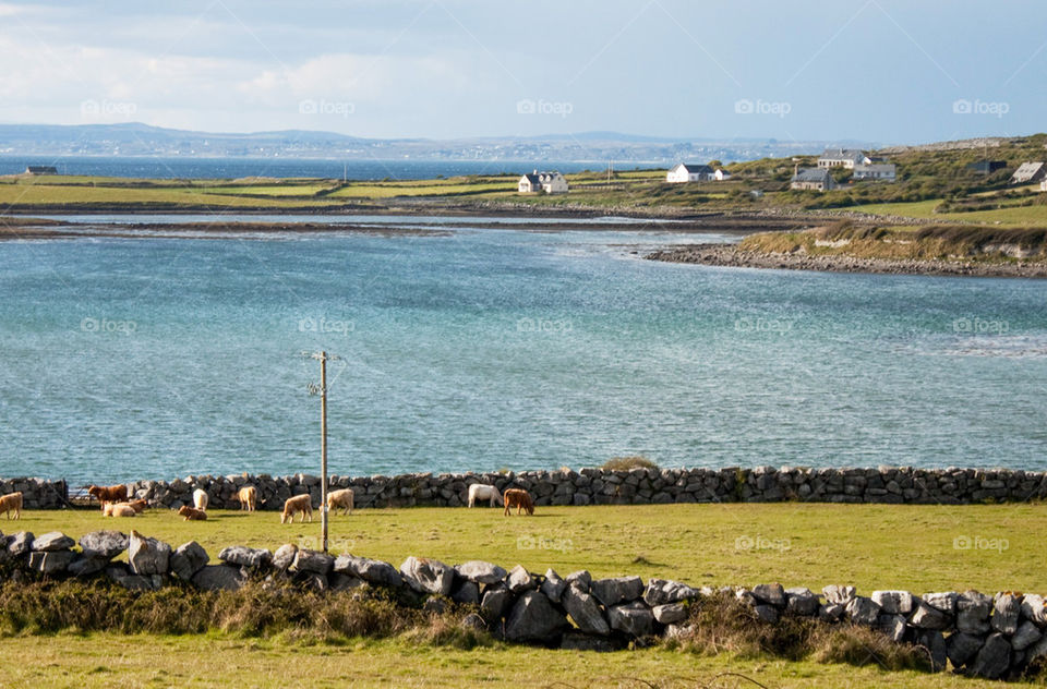 Irish coast