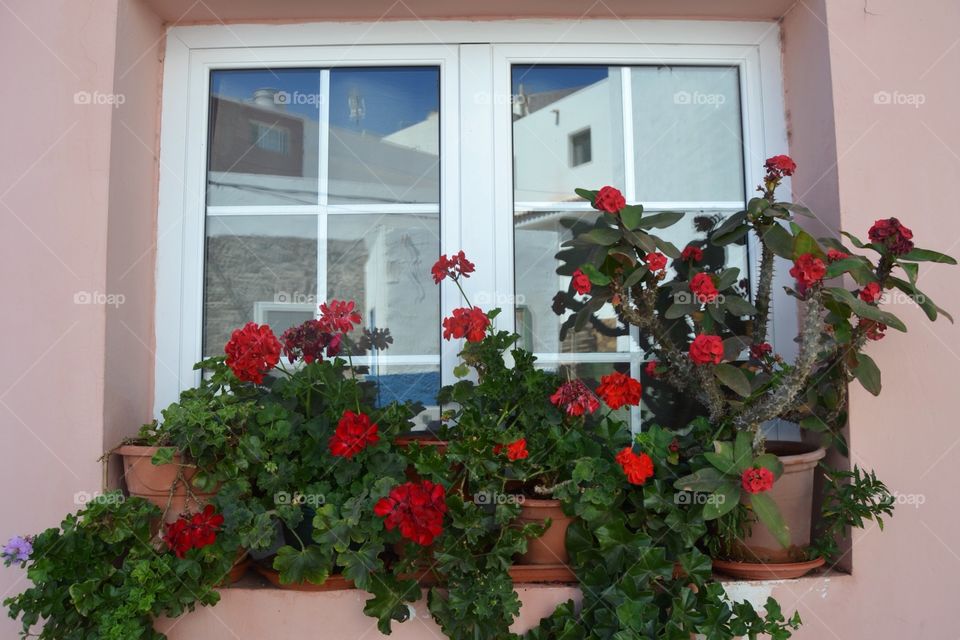 Window with flowers