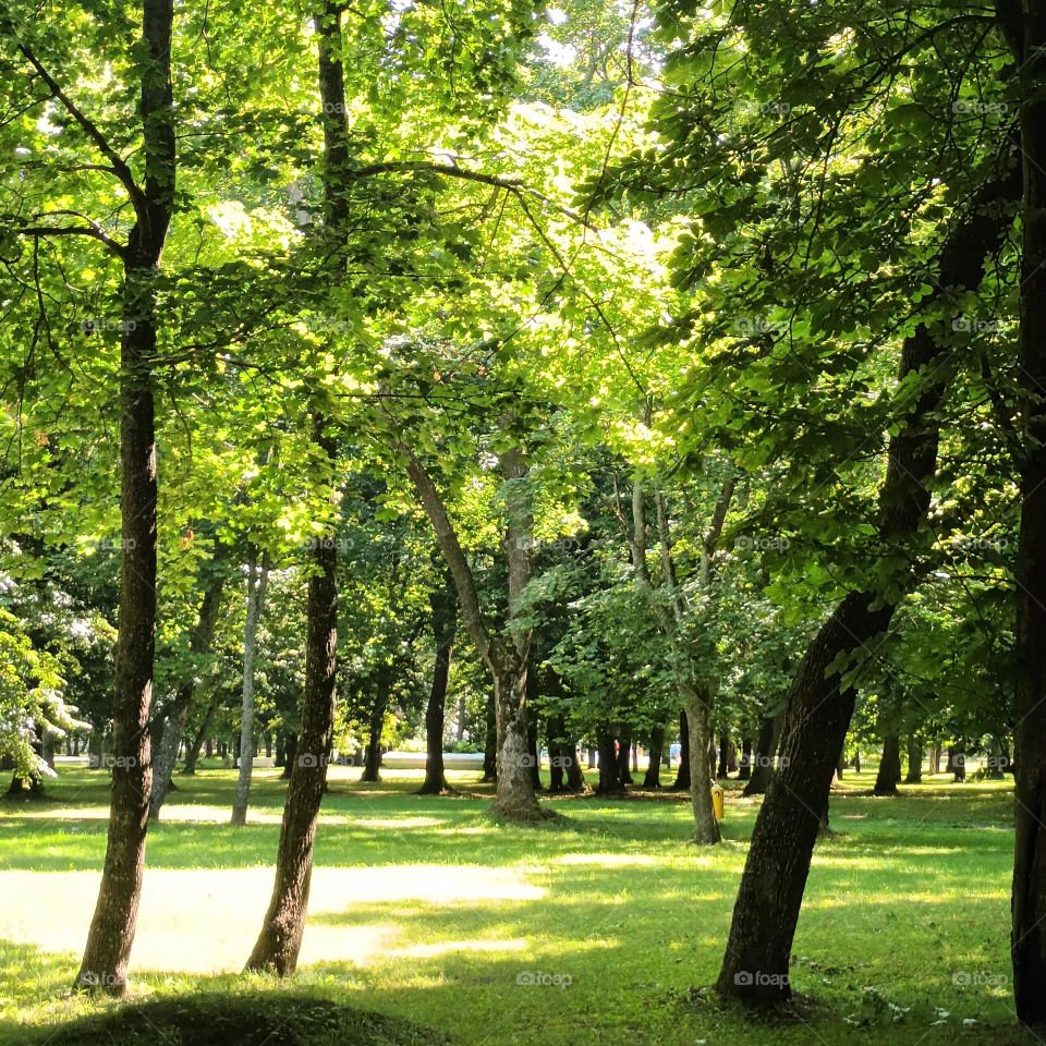 park in Liepaja