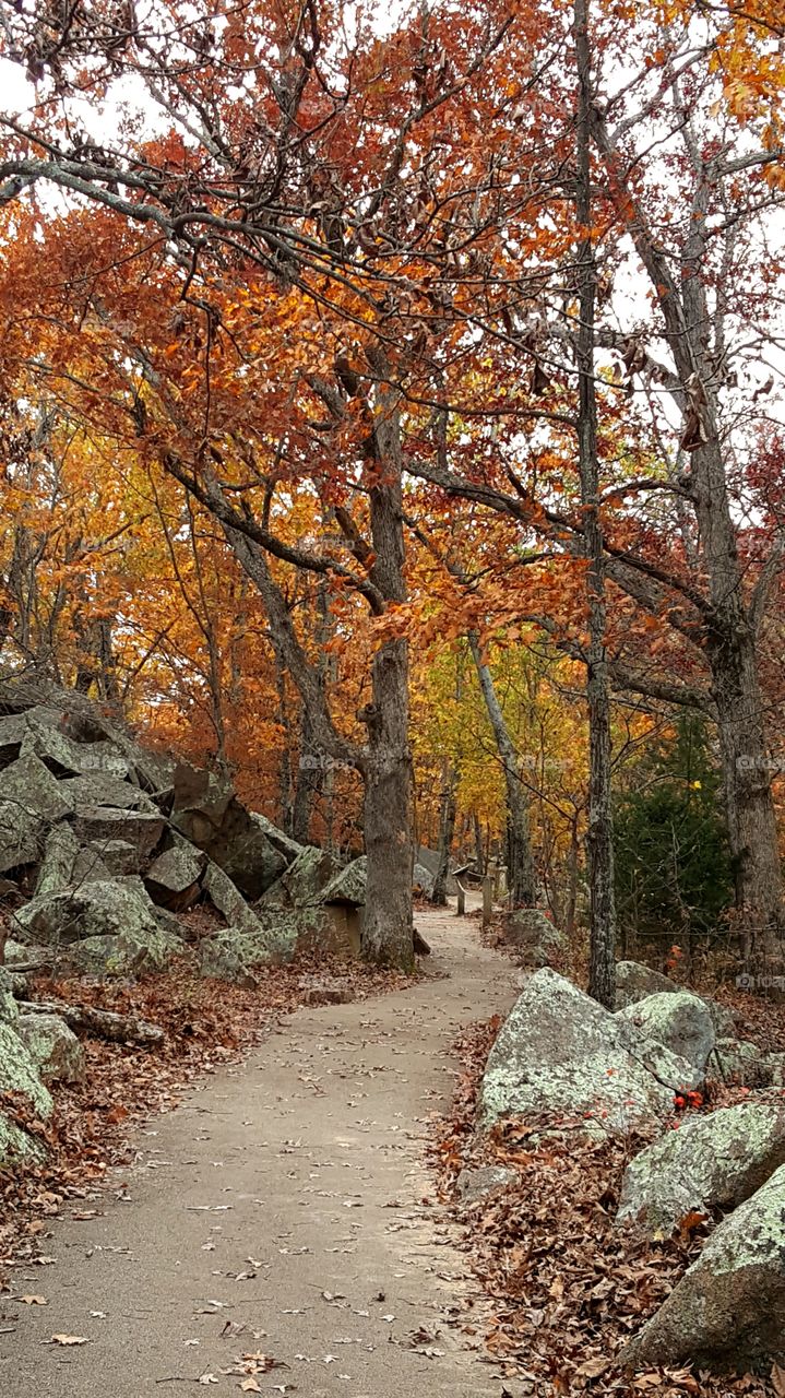 Elephant Rock at Grandville Mo. is beautiful in the fall!
